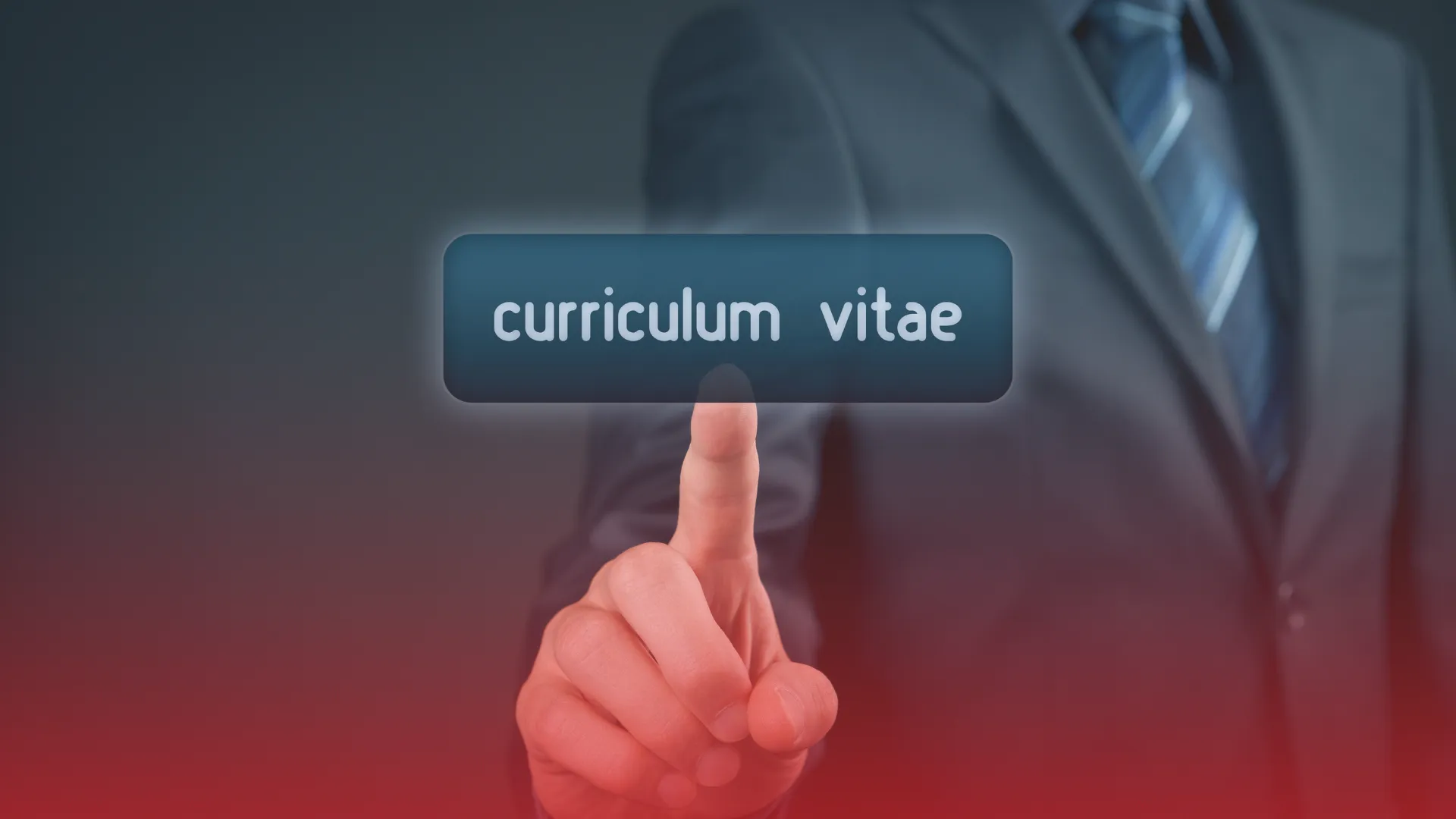 Curriculum Vitae Wz r Eurokadra